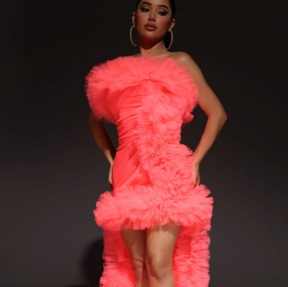 Dominique Tulle Ruffle dress